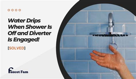 Water Drips When Shower Is Off and Diverter Is。